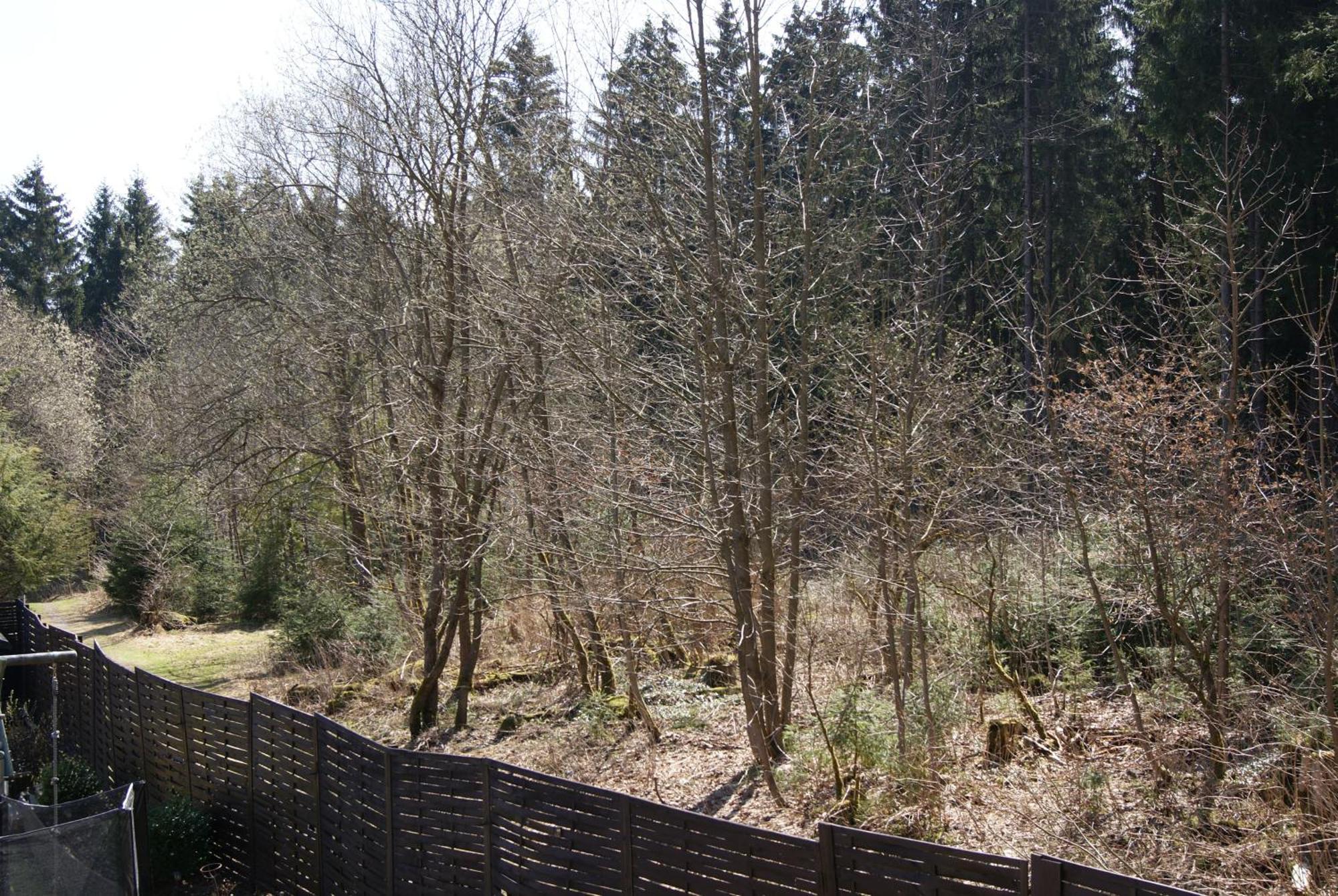 Ferienwohnung Schmidt Braunlage Rum bild