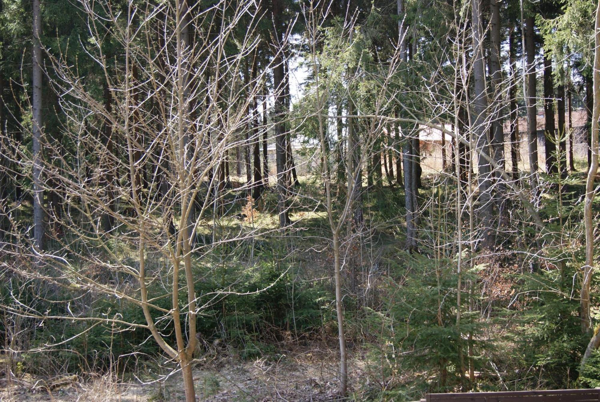 Ferienwohnung Schmidt Braunlage Rum bild